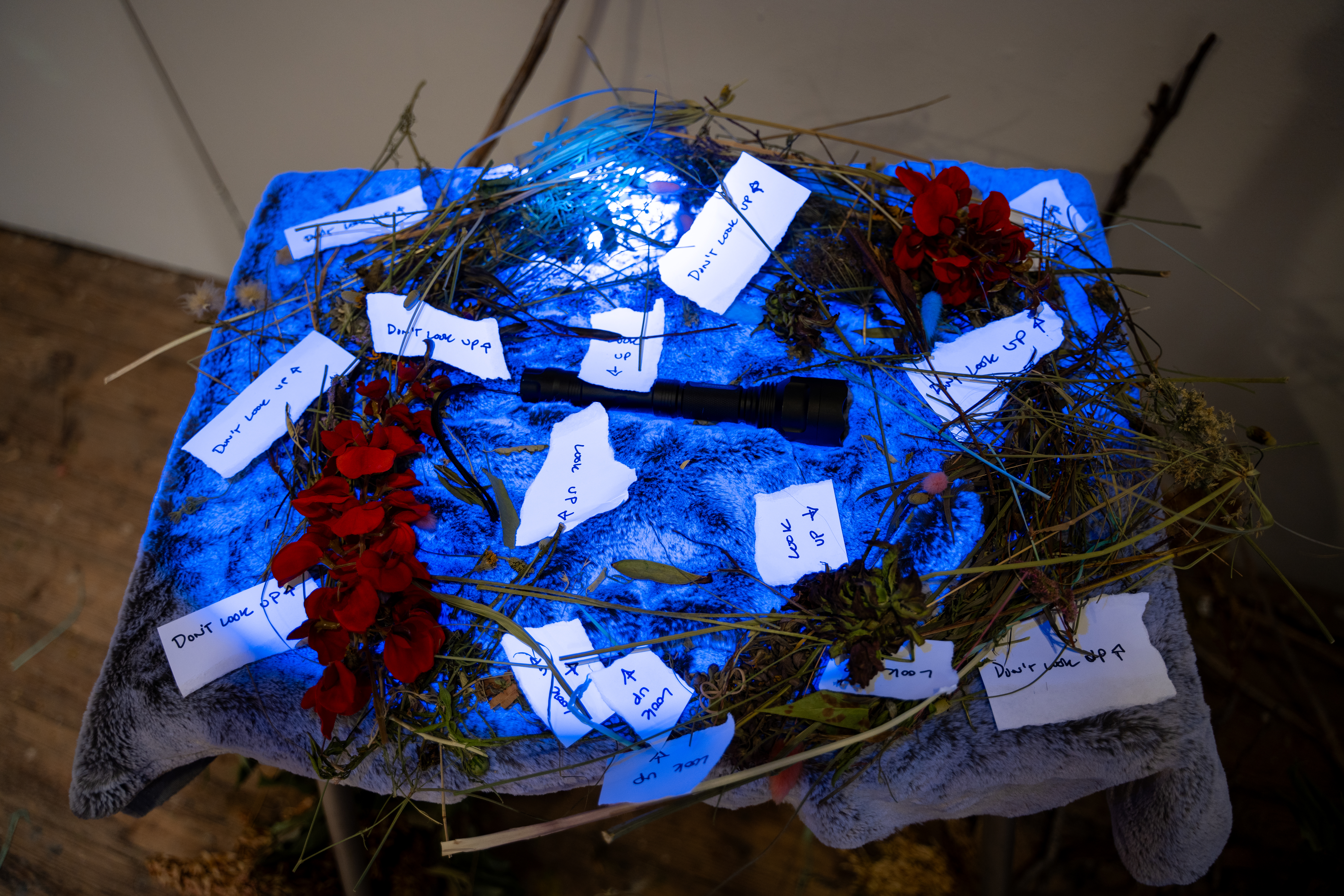 Table set up with leaves, branches, and fake flowers in a wreath shape on top of fake fur fabric. On it, little pieces of paper scattered that say “look up," or “ don’t look up.” One flashlight is in the middle. The table is illuminated by the UV light.