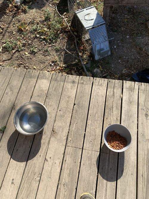 Two bowls outside of MoHA