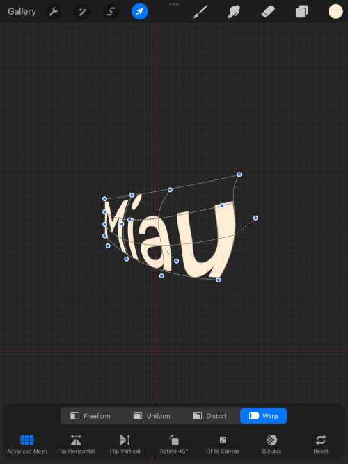 Screenshot of Procreate interface. Transformation tool used for a rasterized text.