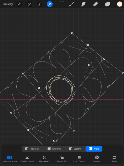 Screenshot of Procreate interface. Transform tool menu.