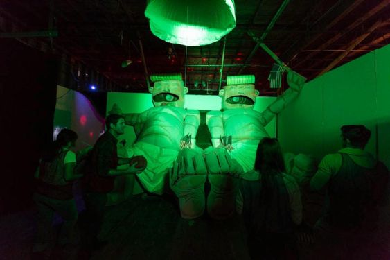 Photography by Meg Mulloy