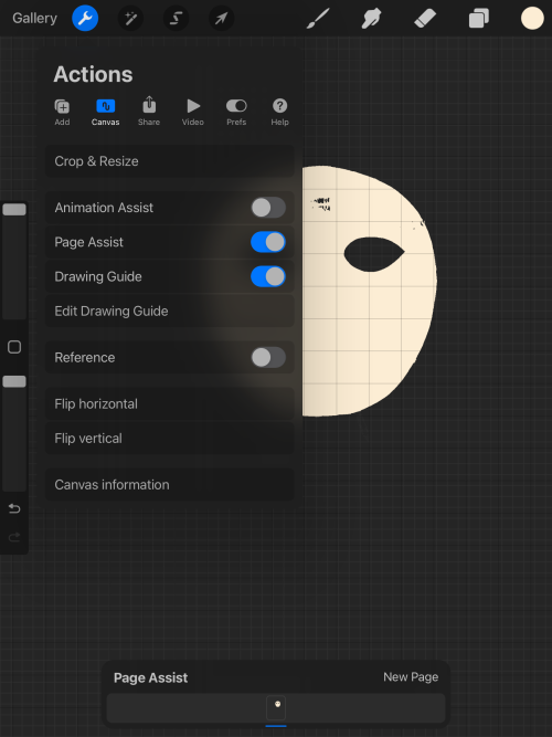 Screenshot of Procreate interface. Canvas menu.