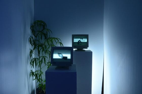 Photography by Rachel Wilkins at MoHA