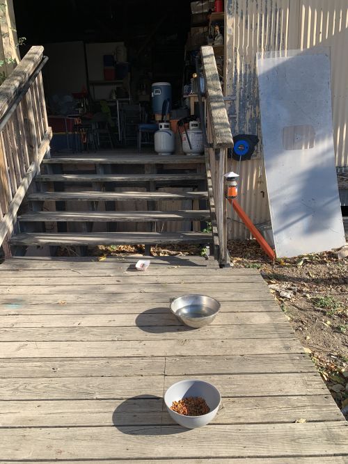 Two bowls outside of MoHA