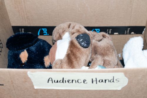 Box of audience hands