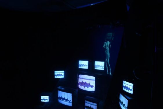 Photography by Rachel Wilkins at MoHA